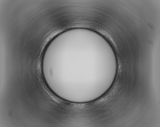 X0000111910882200909071154