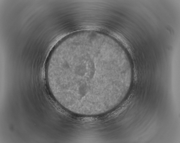 X0000111910883200909071154