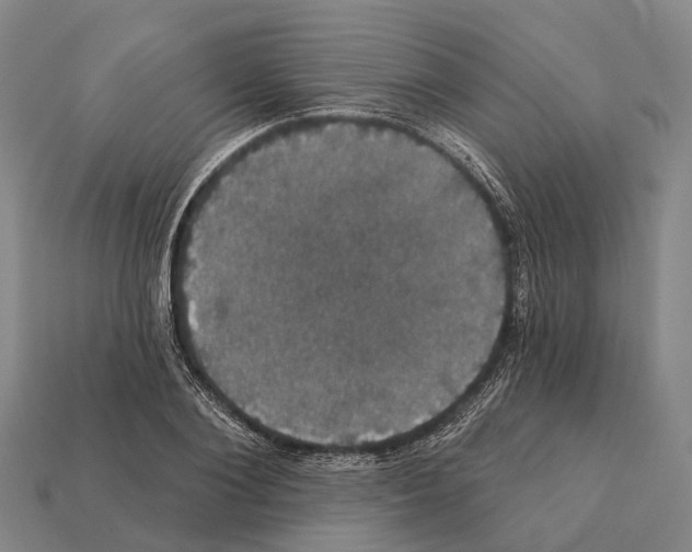 X0000111910884200909071154