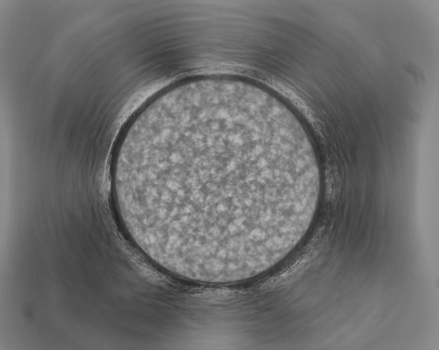 X0000111910885200909071154