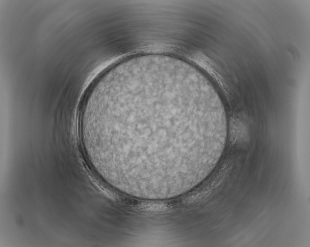 X0000111910886200909071154