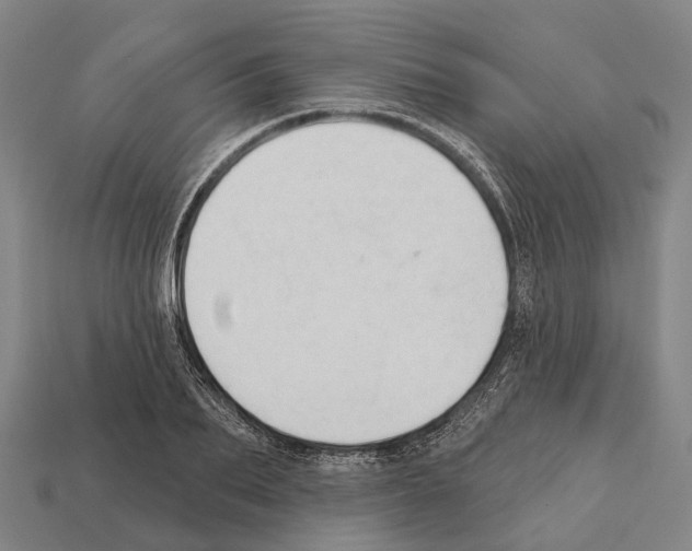 X0000111910887200909071154