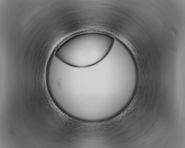 X0000111910888200909071154