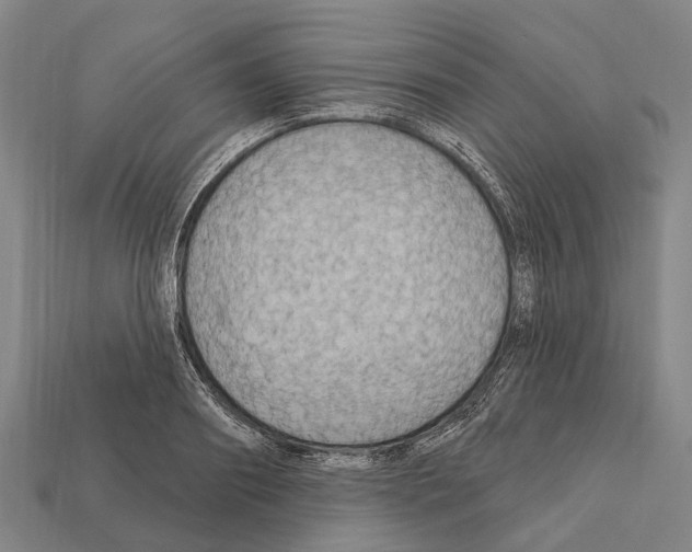 X0000111910890200909071154