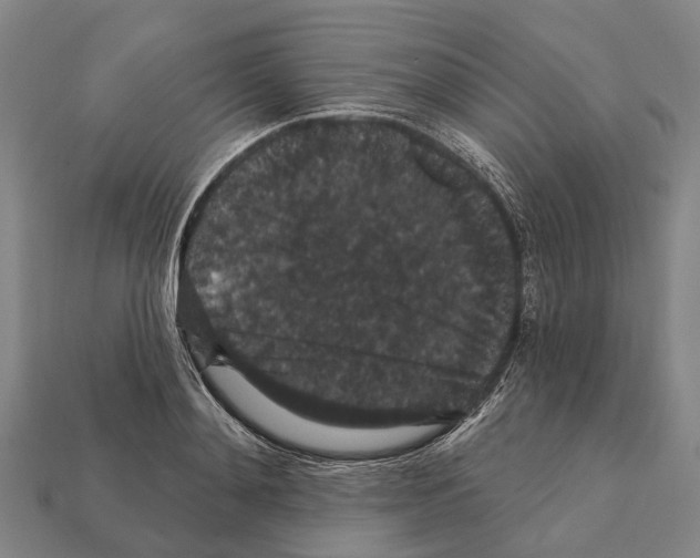 X0000111910892200909071154