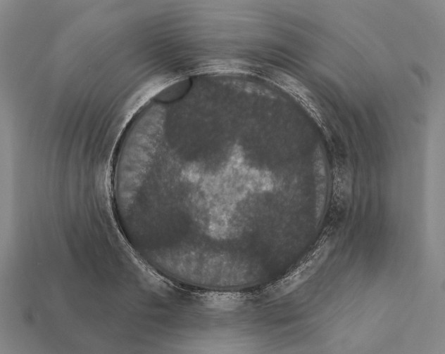 X0000111910893200909071154