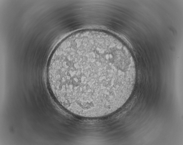 X0000111910895200909071154