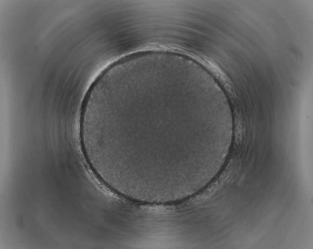 X0000111910896200909071154