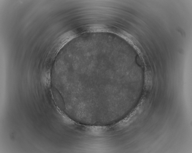 X0000111910897200909071154