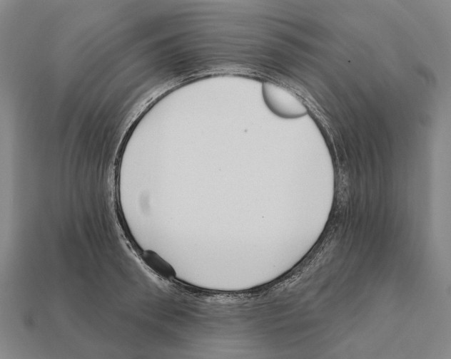 X0000111910898200909071154