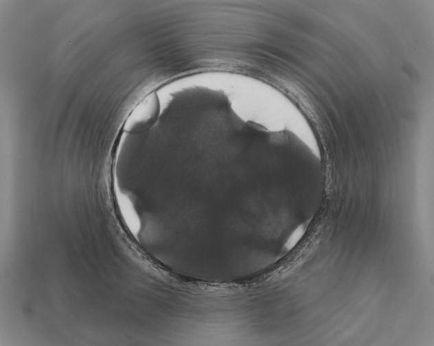 X0000111910899200909071154