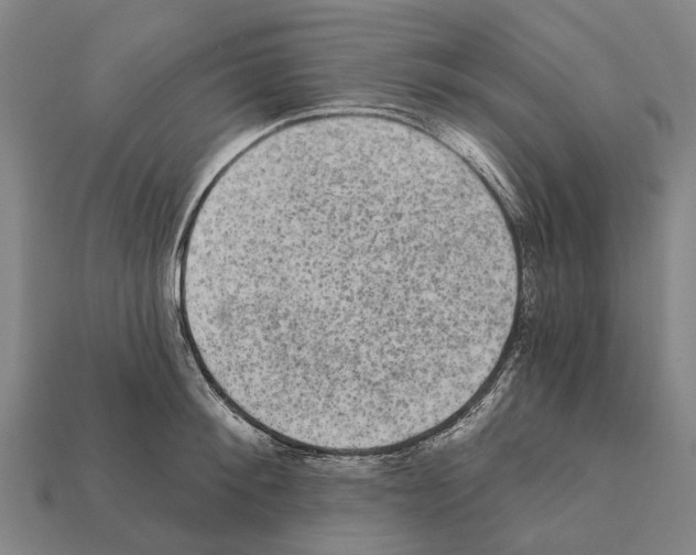 X0000111910900200909071154