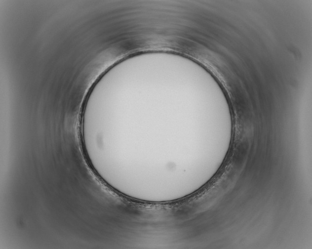 X0000111910901200909071154