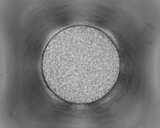 X0000111910903200909071154