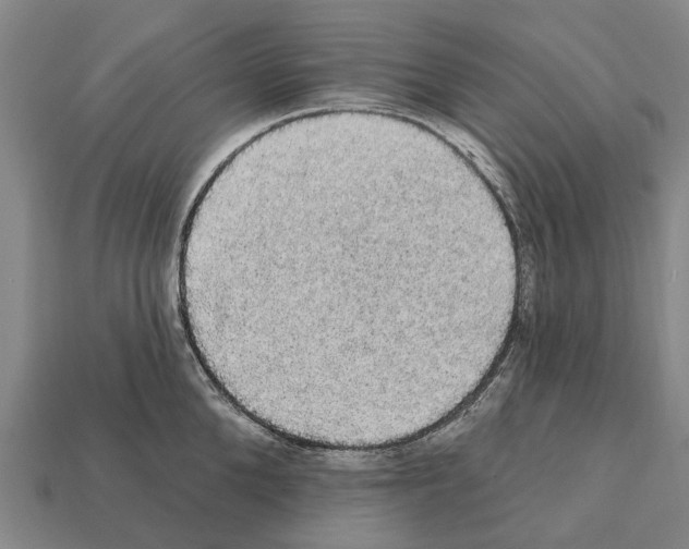 X0000111910904200909071154