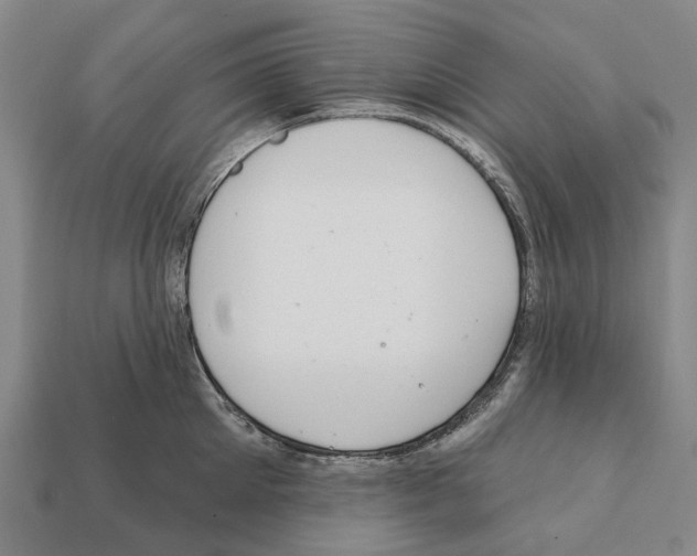 X0000111910905200909071154