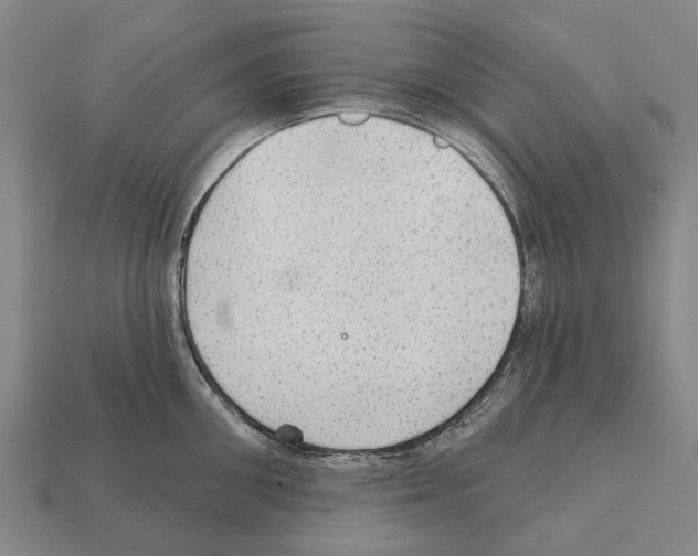 X0000111910906200909071154