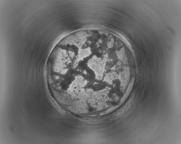 X0000111910907200909071154