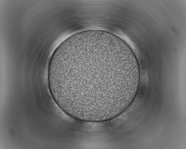 X0000111910910200909071154
