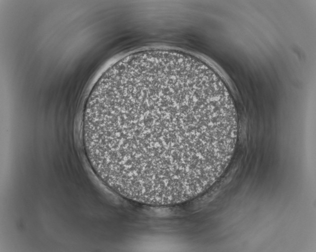 X0000111910911200909071154
