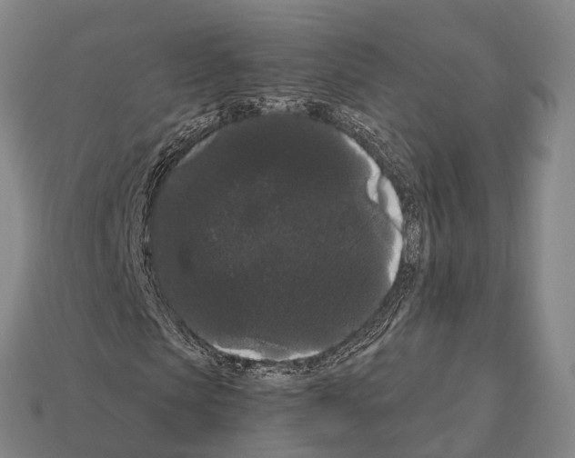 X0000111910913200909071153