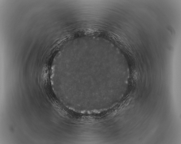 X0000111910914200909071153