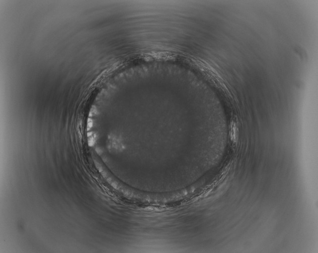 X0000111910915200909071153