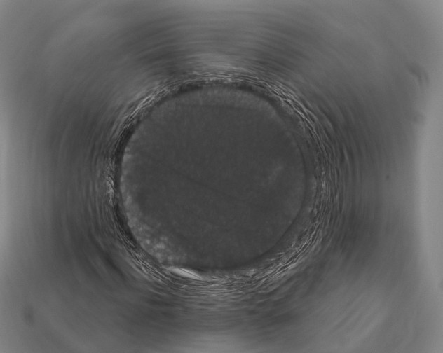 X0000111910916200909071153
