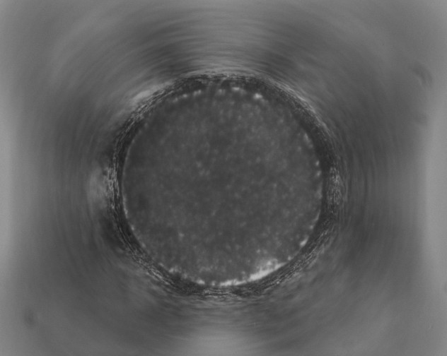 X0000111910918200909071153