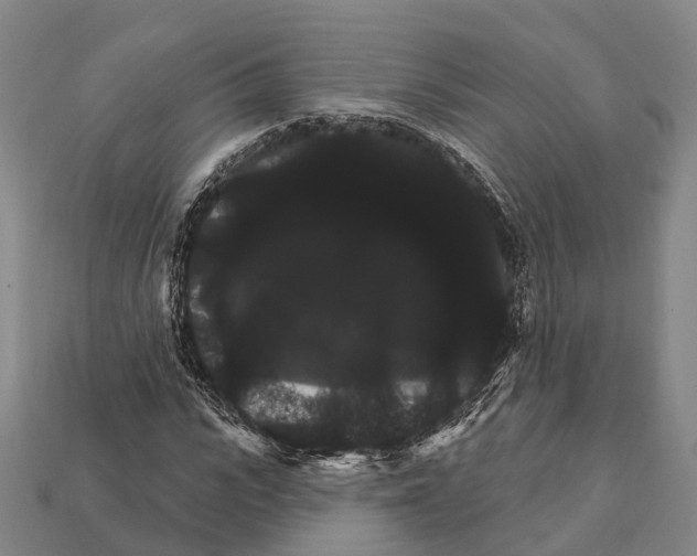 X0000111910919200909071153