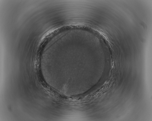 X0000111910920200909071153