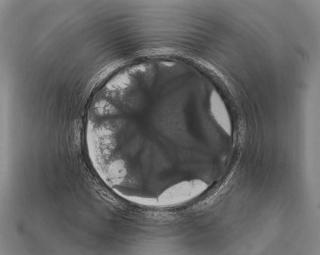 X0000111910921200909071153