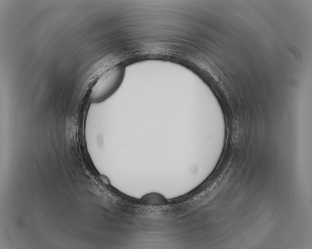 X0000111910922200909071153