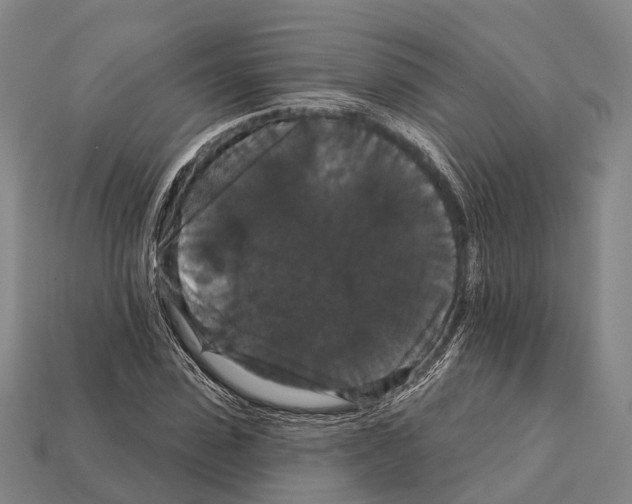 X0000111910923200909071153