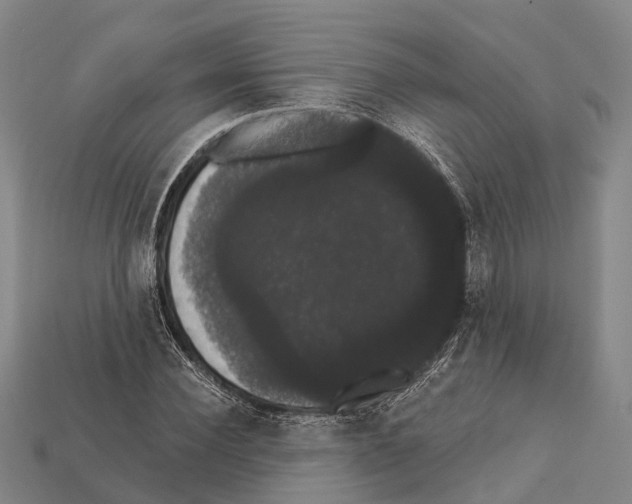 X0000111910924200909071153