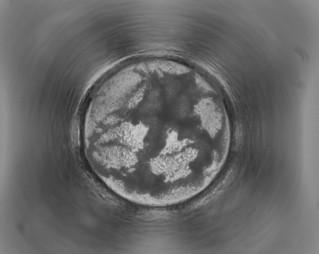 X0000111910925200909071153