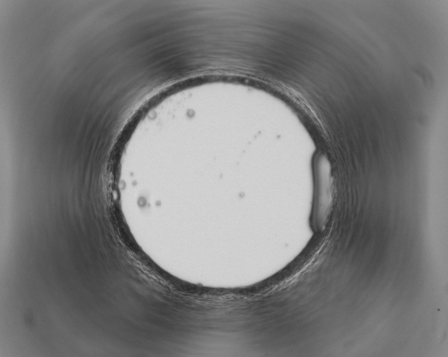 X0000111910926200909071153
