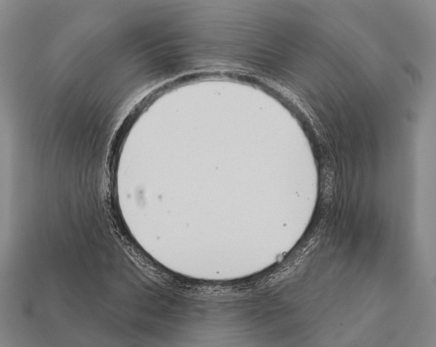 X0000111910927200909071153