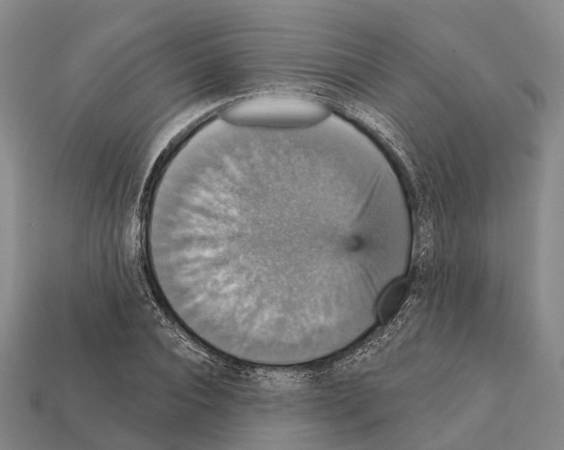 X0000111910928200909071153