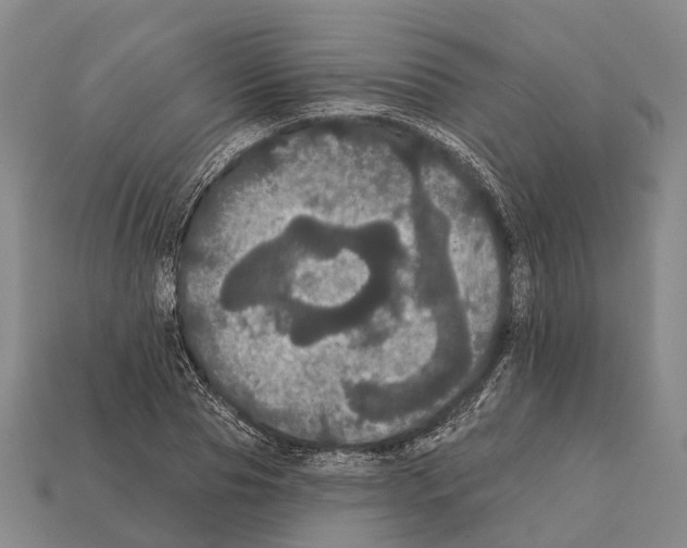X0000111910929200909071153