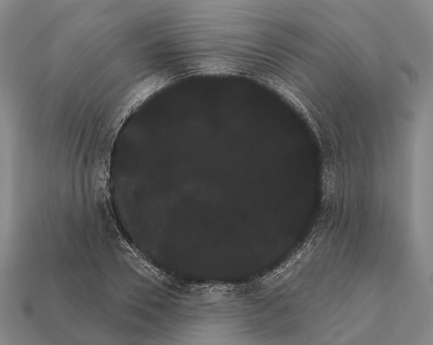 X0000111910930200909071153