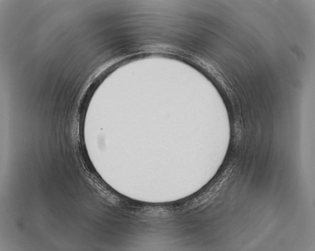 X0000111910931200909071153