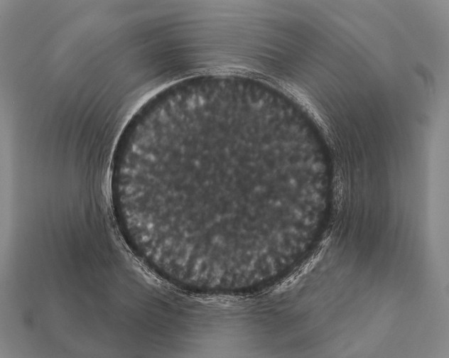 X0000111910932200909071153