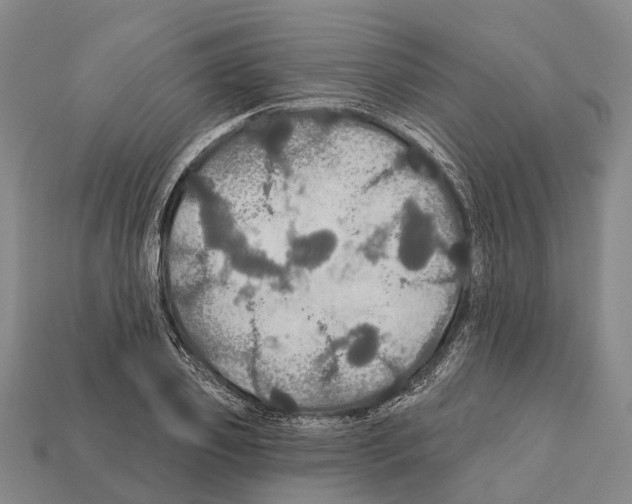 X0000111910933200909071153