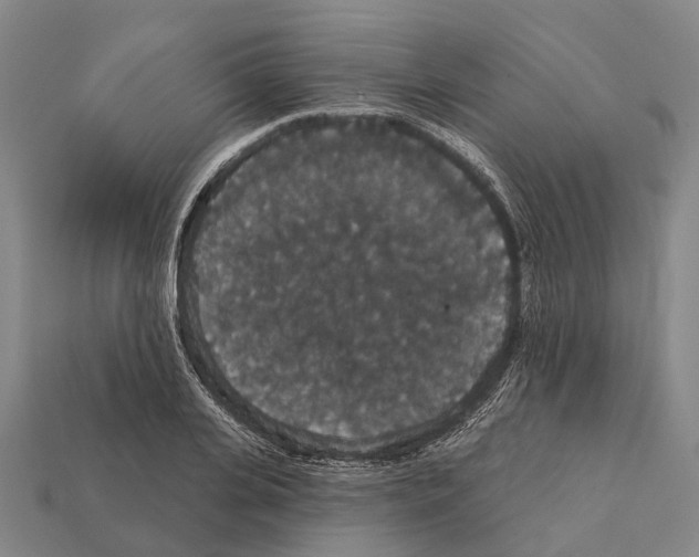 X0000111910935200909071153