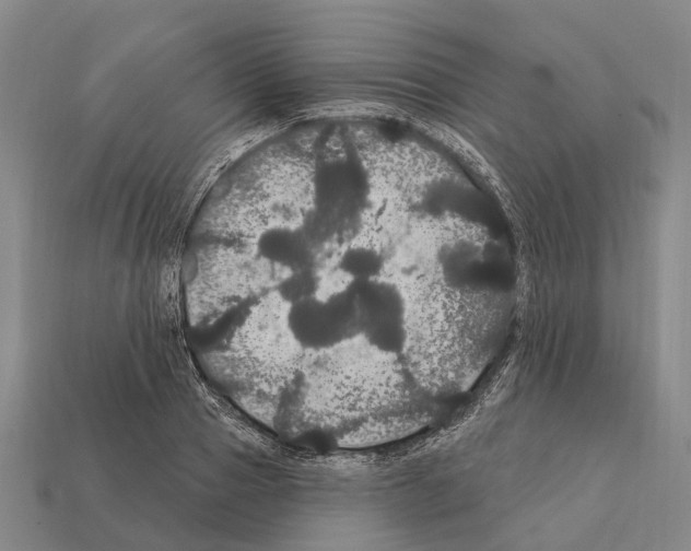 X0000111910937200909071153