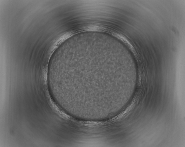 X0000111910938200909071153