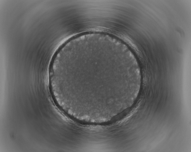 X0000111910940200909071154