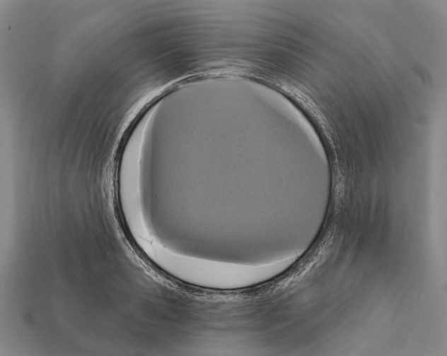 X0000111910941200909071154