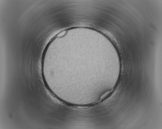 X0000111910942200909071154